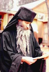 seraphim_rouz.jpg